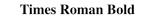 Times Roman Bold