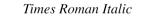 Times Roman Italic